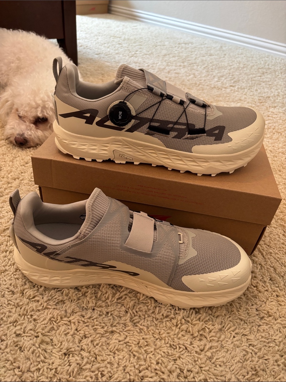 Altra M Timp 5 BOA Trail Running shoes